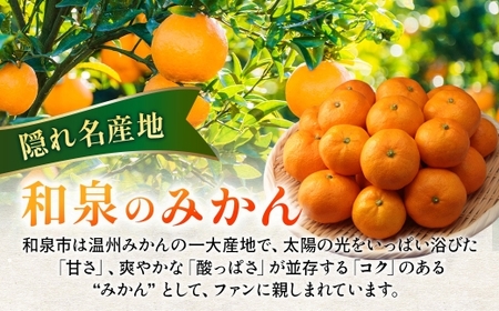 隠れ名産地 蔵出し熟成和泉みかん(中玉・大玉サイズミックス)5kg【1499001】