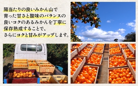 隠れ名産地 蔵出し熟成和泉みかん(中玉・大玉サイズミックス)5kg【1499001】