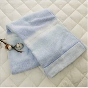 【シングル】爽やかグラデーション タオルケット(140×190cm)ブルー SNT-9-BL【1417248】
