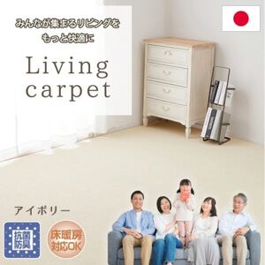 【江戸間6畳】家族が集まるリビングをもっと快適に!リビングカーペット アイボリー  ウイング6畳IV【1492997】