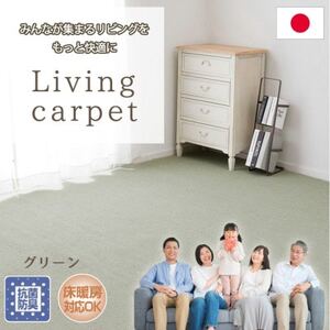【江戸間6畳】家族が集まるリビングをもっと快適に!リビングカーペット グリーン (ウイング6畳GR)【1493000】