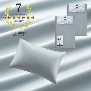 (43×63cm)ポーランド産マザーグースダウンピロー(羽毛枕)95%＆ピローケース:フォグブルー【1501402】