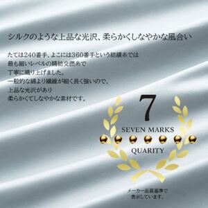 (43×63cm)ポーランド産マザーグースダウンピロー(羽毛枕)95%＆ピローケース:フォグブルー【1501402】