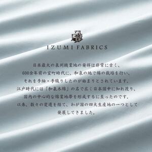 (43×63cm)ポーランド産マザーグースダウンピロー(羽毛枕)95%＆ピローケース:フォグブルー【1501402】