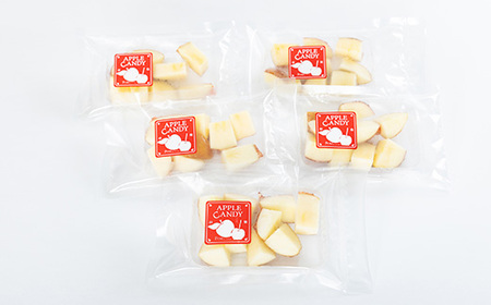 和泉市丸カットりんご飴100g×5袋(冷凍)【配送不可地域:離島】【1550964】
