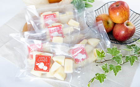 和泉市丸カットりんご飴100g×5袋(冷凍)【配送不可地域:離島】【1550964】