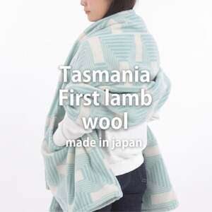 【ポケット付】洗えるタスマニアラムウール混大判ストール 70×180cm グリーン OTW-7018【1555557】