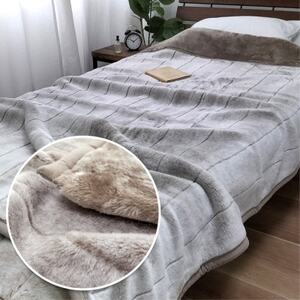 【シングルサイズ2枚組】吸湿発熱リッチファー2枚合わせ毛布 JY-2401-2P【1561006】