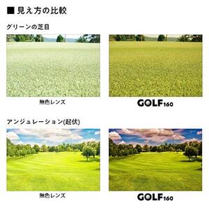 レイバンフレーム ゴルフレンズ サングラスセット RX5345D 2000【1563627】