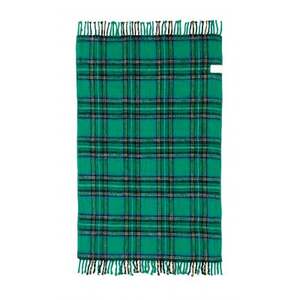 電気ひざかけ (電気ブランケット) グリーン(約140×82cm)【1608430】