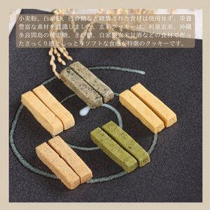 和泉市　クッキー(5種　10本入り)＆カステラ(2種)食べ比べセット【1640113】