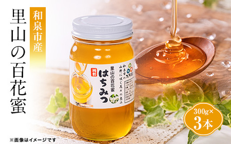 道の駅で大人気のハチミツ(300g瓶詰×3本)【1657834】
