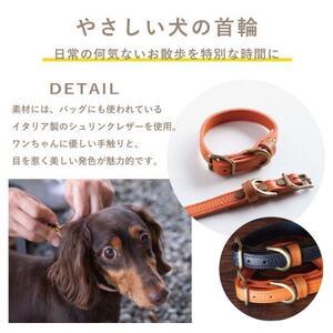 首輪 本革 イタリアンレザー オレンジ 中型犬用 (27-35センチ)ペット用品【dc-01ss】【1663208】