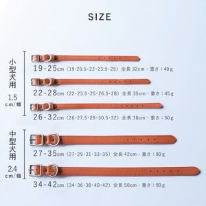 首輪 本革 イタリアンレザー オレンジ 中型犬用 (27-35センチ)ペット用品【dc-01ss】【1663208】