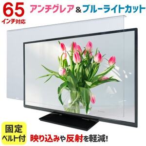 大阪府和泉市　65AG2　65インチ用　テレビ画面保護パネル　アンチグレアタイプ　テレビガード【1669356】