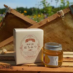 大阪府和泉市 国産天然はちみつ(180g×3) 日蜂協会員 無添加 自家採蜜