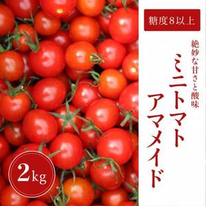 【2kg】ミニトマト 糖度8以上 アマメイド 　リピーター続出の人気野菜【1502584】