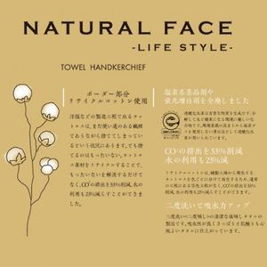 ボーダーフェイスタオル10枚 カラー:ベージュ(ボーダー部分リサイクルコットン)【1411620】