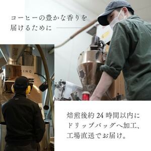 ドリップコーヒー イツモブレンド 500杯 自家焙煎 辻本珈琲【1502762】