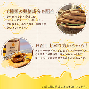 ＜新登場＞薬膳ハチミツ SPICY BEE 3(スパイシービースリー)(1個/150g) 生はちみつ はちみつ ハチミツ 薬膳 シナモン ドレッシング カクテル デザート ジャム フルーツ 加工品 スイーツ 健康【m60-02】【blanc】
