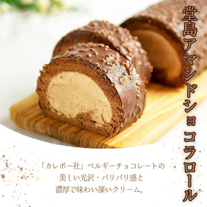 ＜数量限定＞ 堂島バニラロール・堂島アマンドショコラロールセット(計2本) ふるさと納税 箕面市 特産品 ロールケーキ 有名店 食べ比べ セット 堂島バニラロール 堂島アマンドショコラロール 2本 スイーツ ギフト プレゼント チョコレート 人気 TV メディア 話題 季節限定【m37-01-D】【モンシェール】