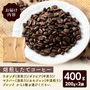 こだわり栽培のコーヒー豆(マラバー)(計400g・200g×2袋) 焙煎 コーヒー