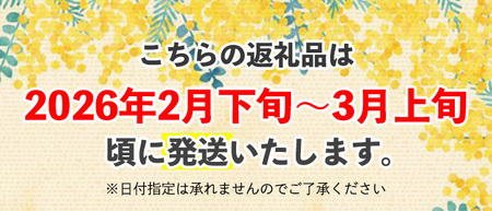 ＜ミモザの季節限定！2月下旬以降発送予定＞ミモザパウンドケーキ～イタリアの春風～(1本) スイーツ ケーキ おしゃれ かわいい 可愛い ミモザ ミモザスイーツ 限定 期間限定 春 黄色 イエロー 花 フラワー プレゼント オレンジ ブラッドオレンジ お酒 リキュール 【m101-02】【ミモザの日inJAPAN推進箕面組織委員会】