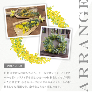 ＜ミモザの季節限定！2月上旬以降発送予定＞箕面産ミモザ切り花(5本) ミモザ 生花 本物 切り花 切り枝 大きい 産地直送 花束 アレンジ リース 素材 材料 お花 季節 旬 イエロー 【m101-03】【ミモザの日inJAPAN推進箕面組織委員会】