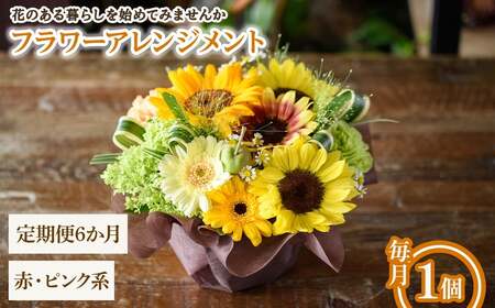 フラワーアレンジメント(赤ピンク系・6ヶ月・毎月1個) フラワーアレンジメント 季節の花 生花 花ギフト フラワーギフト お祝い 記念日 花飾り 贈り物 【m56-06-A6】【Porte-Bonheur】