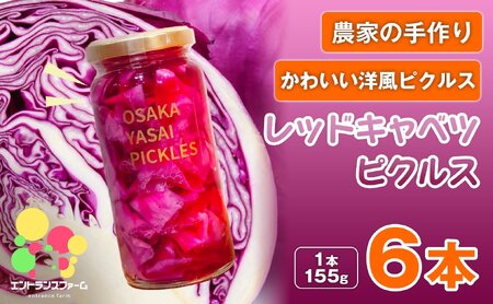 ＜農家の手作り おかずピクルス！＞レッドキャベツピクルス(6本) 常温 常温保存 酢漬け 漬物 おかず サイドディッシュ ヘルシー カラフル おつまみ ギフト 贈答用 【m104-04-D】【エントランスファーム】