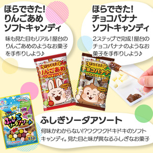 ＜数量限定＞コリスお菓子セット(7種13個入) 大阪府 フエラムネ 駄菓子 知育菓子 お菓子 おやつ 子ども 子供 こども 懐かしい フーセンガム カジリッチョ ころキャン ラムネ ガム チューインガム 【m106-01】【コリス】