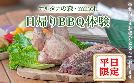 オルタナの森日帰りBBQ体験(平日限定)バーベキュー 焼肉 国産肉 野菜 食材付き セット 片付け不要 自然 アウトドア イベント お食事 子供 こども キッズ ジュニア 小学生 家族 友達 友人【m39-01】【OUTDOOR LIVING】