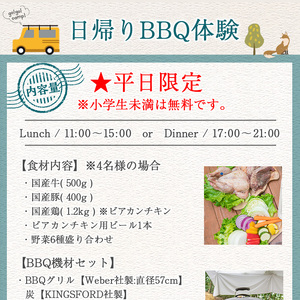 オルタナの森日帰りBBQ体験(平日限定)バーベキュー 焼肉 国産肉 野菜 食材付き セット 片付け不要 自然 アウトドア イベント お食事 子供 こども キッズ ジュニア 小学生 家族 友達 友人【m39-01】【OUTDOOR LIVING】