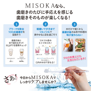 ＜メール便・簡易包装＞お試し！MISOKA 基本の歯ブラシ(3色・計3本)ハブラシ 歯磨き はみがき 職人品質 シンプル デンタルケア お試し おためし 箱無し リピート リピーター【m06-28】【株式会社夢職人】