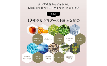 リバイブラッシュ まつ毛美容液 6g 1本 シーエスシー コスメ 化粧品 スキンケア 美容 美容グッズ まつ毛 美容液 アイラッシュ まつ毛ケア 大阪 大阪府 柏原市