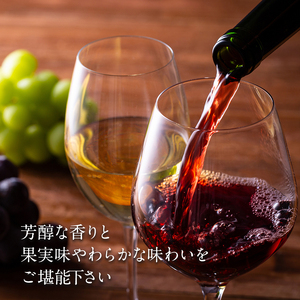 おまかせ 白辛口ワイン 1本 お楽しみ 酒 お酒 白ワイン 国産 アルコール