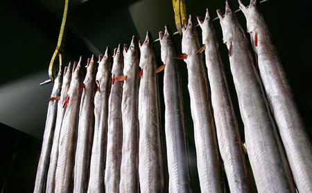 かまぼこ 焼通し 中板 梅焼 セット 蒲鉾 練り物 練り製品 詰め合わせ 魚肉 魚介 魚介類  大阪 柏原市