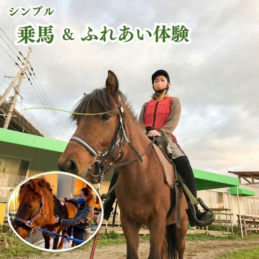 シンプル乗馬＆ふれあい体験 体験チケット 日本在来馬 和種馬 ブラッシング 手入れ ふれ合い ホースセラピー 動物