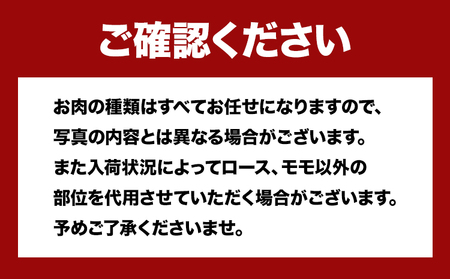 おまかせ5種盛焼肉セット 2人前 500g 