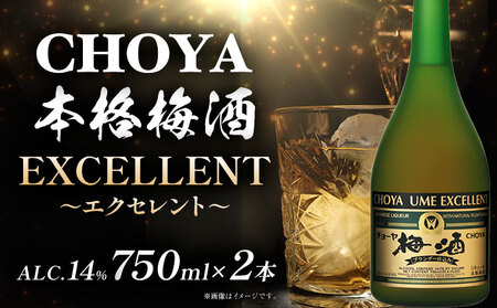 CHOYA 本格梅酒 EXCELLENT 750ml×2本 羽曳野商工振興株式会社《30日以内に出荷予定(土日祝除く)》