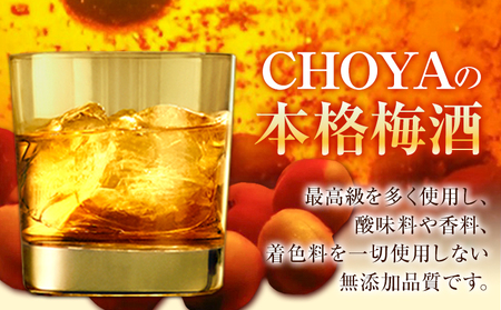 CHOYA 本格梅酒 EXCELLENT 750ml×2本 羽曳野商工振興株式会社《30日以内に出荷予定(土日祝除く)》