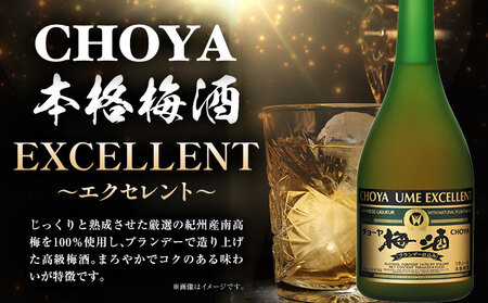 CHOYA 本格梅酒 EXCELLENT 750ml×2本 羽曳野商工振興株式会社《30日以内に出荷予定(土日祝除く)》