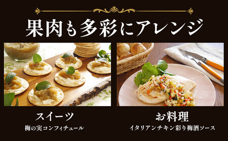 TheCHOYA 至極の梅 650ml×2本 羽曳野商工振興株式会社《30日以内に出荷予定(土日祝除く)》｜梅酒梅酒梅酒梅酒梅酒梅酒