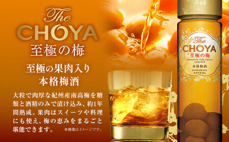 THE CHOYA 至極の梅 650ml EXCELLENT エクセレント 750ml 計2本 セット 飲み比べ 羽曳野商工振興株式会社《30日以内に出荷予定(土日祝除く)》