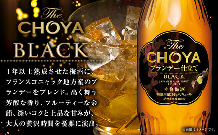 【先行予約】The CHOYA BLACK 700ml The CHOYA 紀州南高梅原酒 700ml 計2本 セット 飲み比べ 羽曳野商工振興株式会社《12月中旬頃より出荷予定(土日祝除く)》