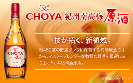 THE CHOYA 熟成三年 700ml 紀州南高梅原酒 700ml 計2本 セット 飲み比べ 羽曳野商工振興株式会社《30日以内に出荷予定(土日祝除く)》