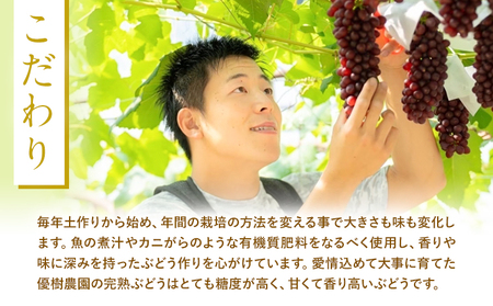 贅沢な濃い搾り デラウェアジュース 720ml × 2本 優樹農園《90日以内に出荷予定(土日祝除く)》大阪府 羽曳野市 デラウェア ジュース 葡萄 