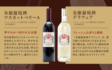 金徳葡萄酒 飲み比べセット マスカットベリーA デラウエア メルロ シャルドネ カベルネソーヴィニヨン ロゼ 各750ml×1本 計6本 株式会社河内ワイン《30日以内に出荷予定(土日祝除く)》