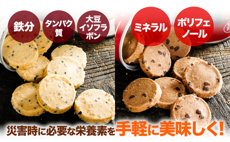 非常食 長期保存 クッキー プレーン チョコ 各100g × 6缶 株式会社フラワー《30日以内に出荷予定(土日祝除く)》大阪府 羽曳野市 災害用 防災 お菓子 スイーツ プレーン チョコ 賞味期限：5年【配送不可地域あり】