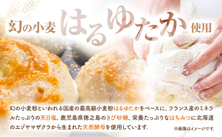 ベーグル 人気 ベーグル 詰め合わせ 10個 セット cot BAGEL STAND《90日以内に出荷予定(土日祝除く)》|ベーグルベーグルベーグルベーグル